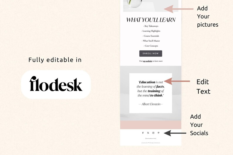 Flodesk Email Examples Flodesk Templates ,flodesk Email Template , Editable Newsletter ...