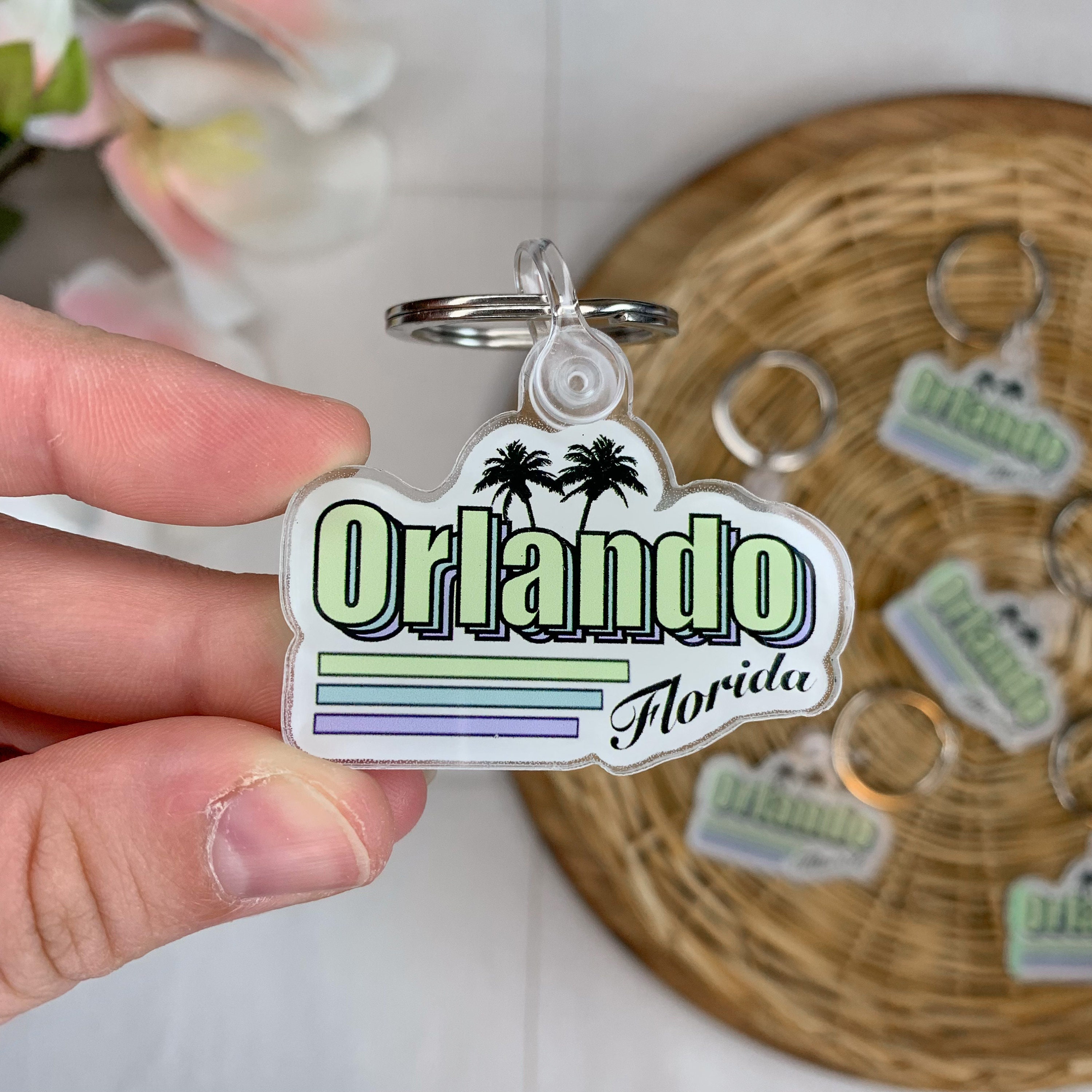 Orlando Florida Poly Magnet Souvenir USA America Castle Amusement Park