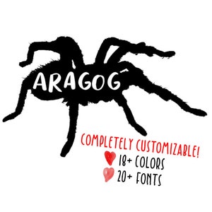 Customizable Name Tarantula Spider Vinyl Decal (READ DESCRIPTION)