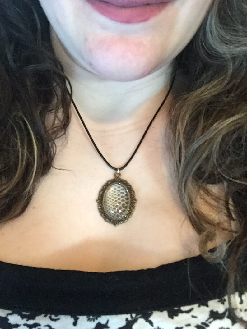 real snake shed skin pendant necklace keychain etsy