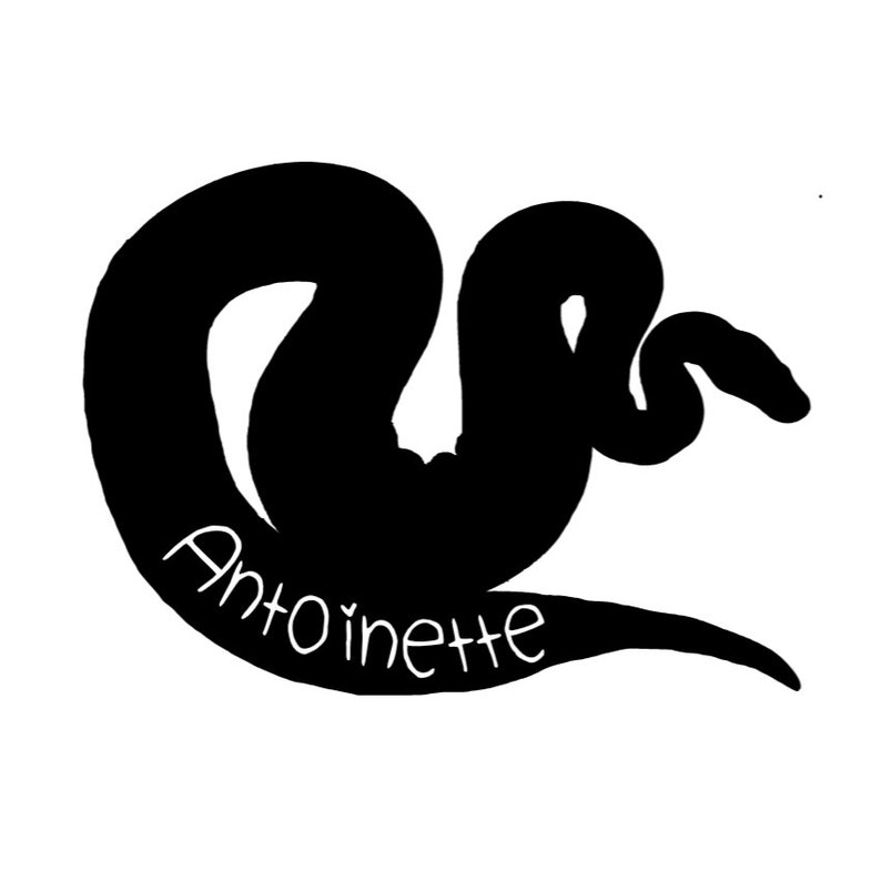Customizable Name Ball Python Snake Vinyl Decal READ - Etsy