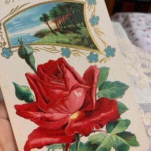 Cartão de aniversário com rosas em aquarela pintadas à mão, cartão de felicitações floral com detalhes em folha de ouro, interior em branco para mensagem pessoal