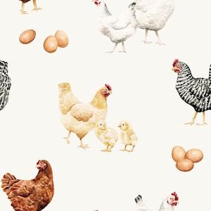 Chicken and Eggs Fabric, Fabric by the yard, Farm Animal Fabric, Cate & Rainn, Quilting Cotton, Knit Fabric, Canvas, Cotton Spandex, Sateen