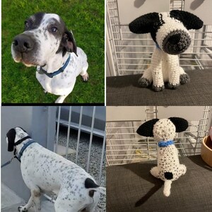 Personalised Crochet Dog/Gift