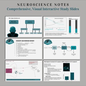 May include: A detailed neuroscience study guide with diagrams and text. The image covers topics like memory types, sensory memory, and the impact of blocking 5-HT receptors. The title "NEUROSCIENCE NOTES" is visible.