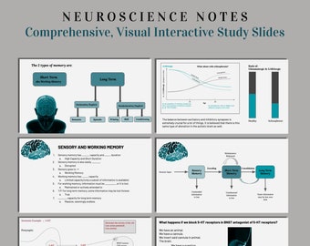Interactive, neuroscience google slides. Study slides. Psychology. Study guides. Flash card slides. Aesthetic Notes. Test preparation.