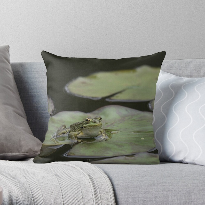 K&ouml;nnte beinhalten: Ein gr&uuml;ner Frosch sitzt auf einem gro&szlig;en gr&uuml;nen Seerosenblatt in einem Teich. Der Frosch schaut direkt in die Kamera.