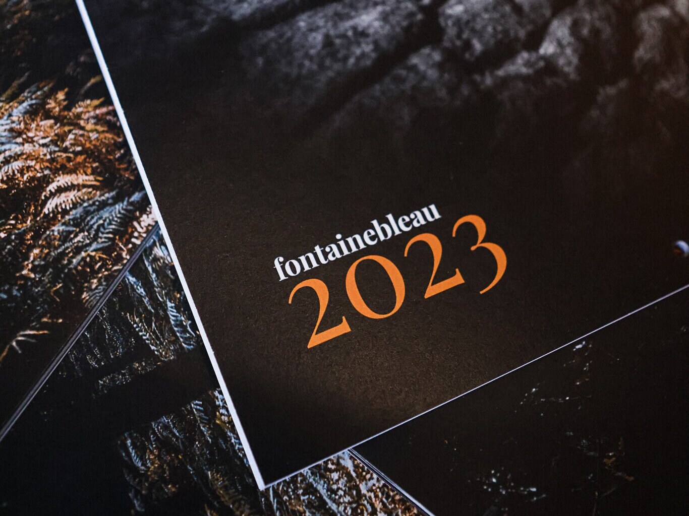 Fontainebleau Calendar 2023 Bouldering Gift Climbing Gift Etsy