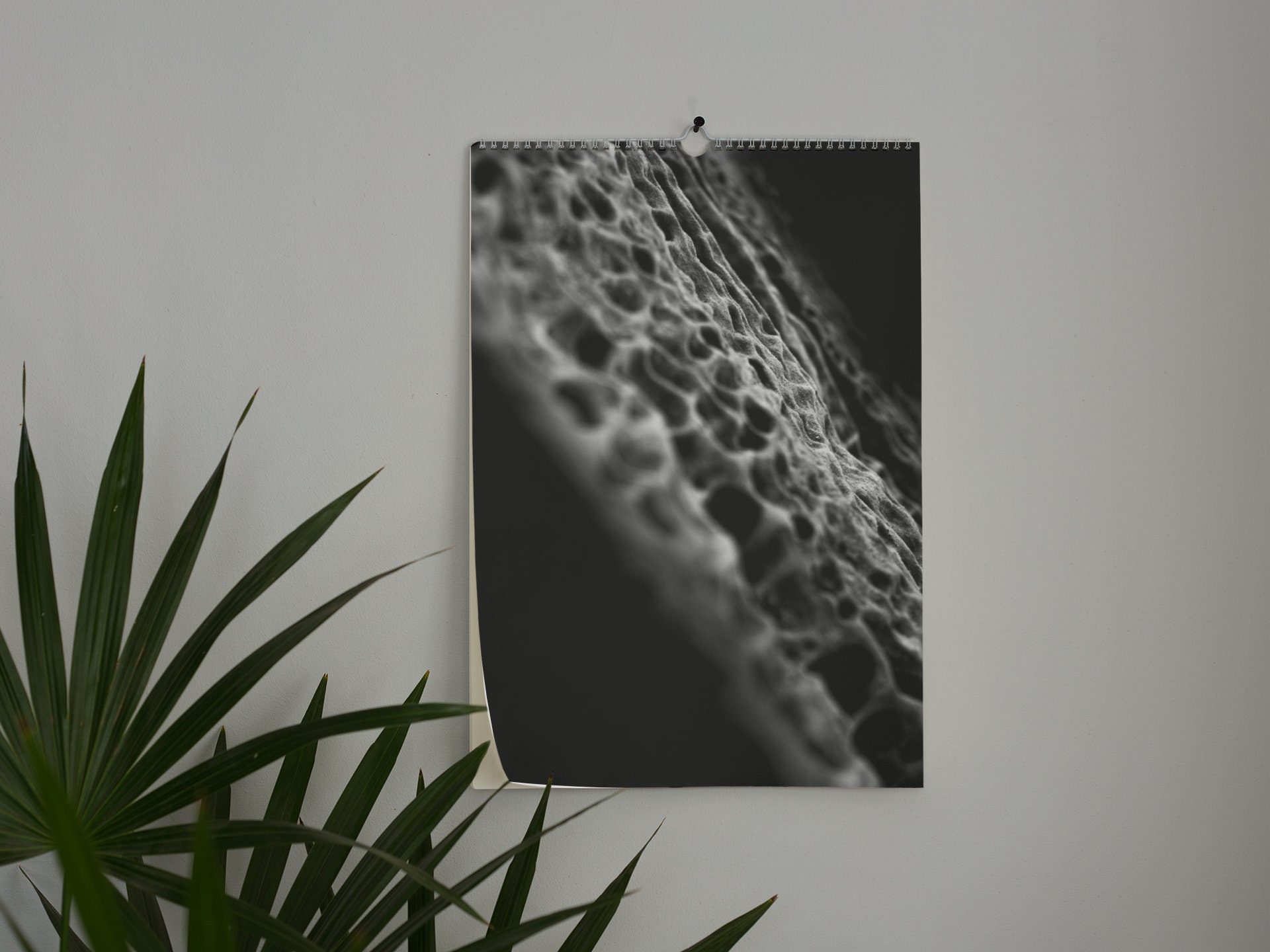 Bouldering Art Calendar 2024 PREORDER Bouldering Gift Etsy UK