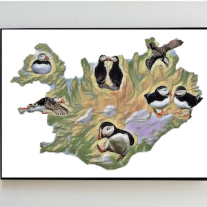 Island Karte mit Papageientaucher Art Print, isländische Karte Poster, Wanddeko, Unikat, Geschenk