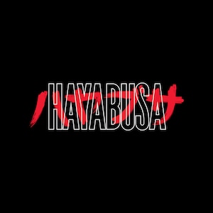 Hayabusa Brush Outline - T-Shirt - Hoodie - Pro Wrestling - New Release