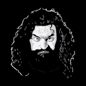 Bruiser Brody Face T-Shirt - Hoodie - Pro Wrestling