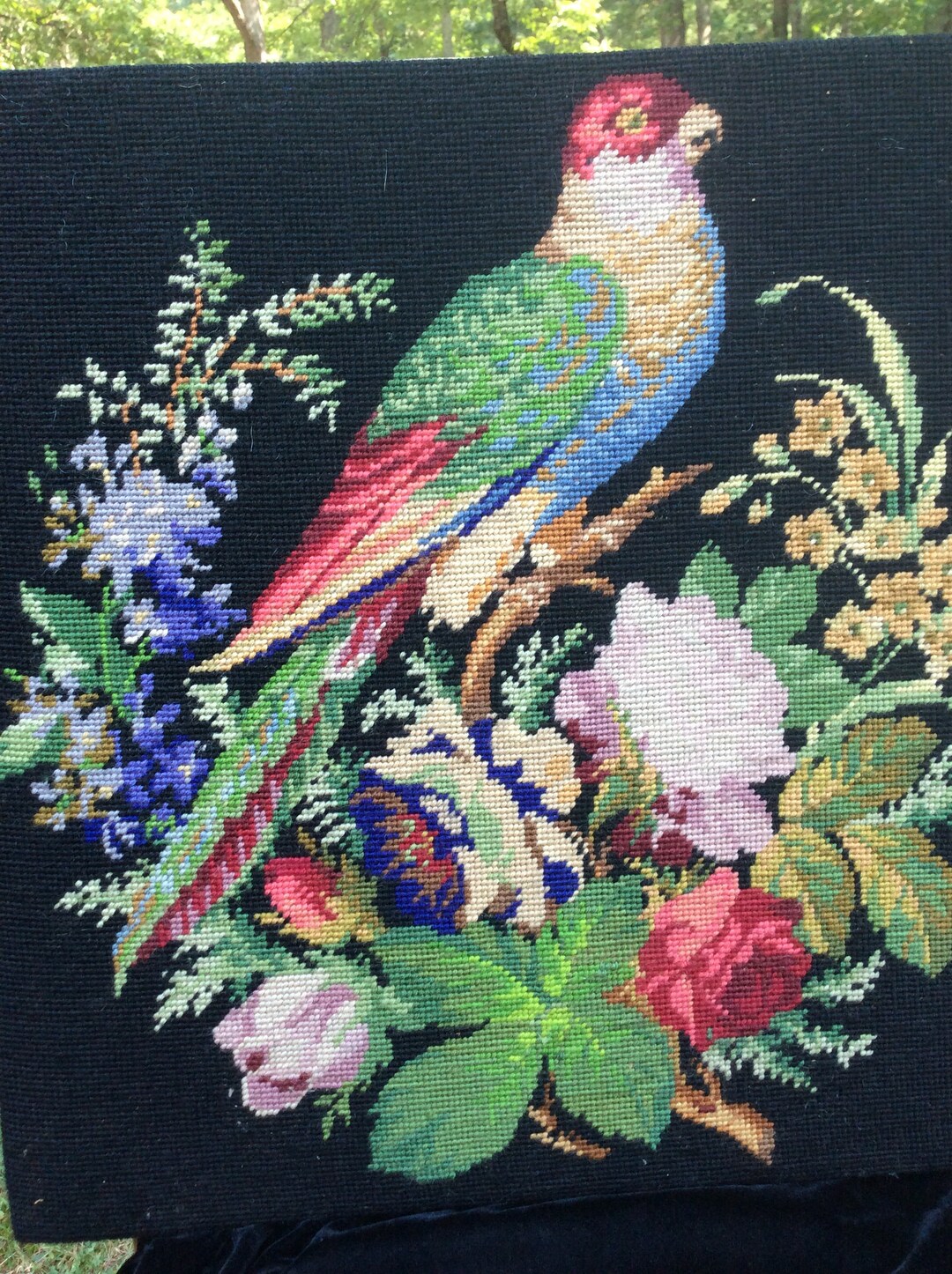 Large Bird Needlepoint,bird Art,vintage Parrot Needlepoint,18 X19 Etsy