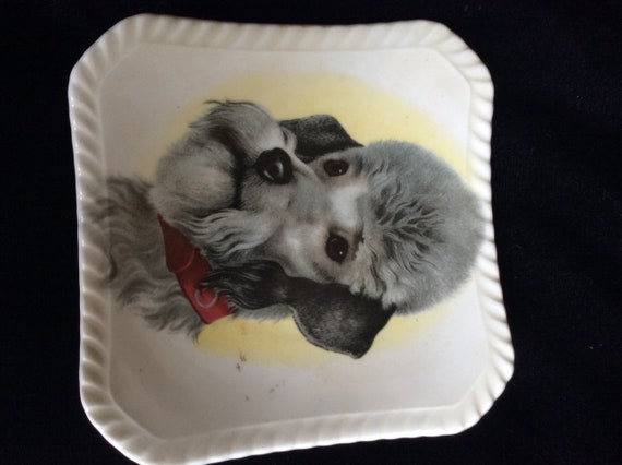 Poodle trinket dish poodle ashtray.Royal Adderly … - image 4