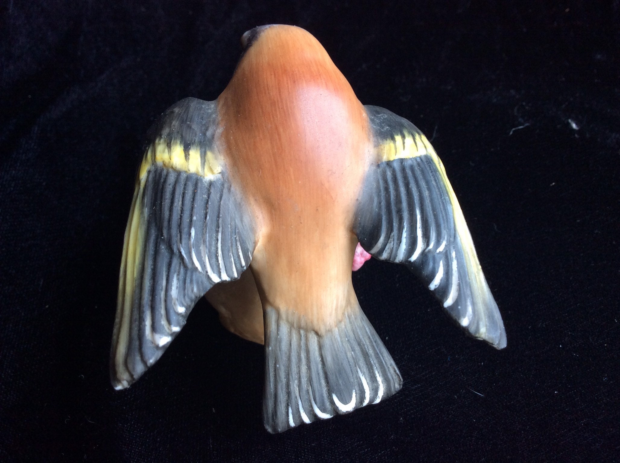 Royal Worcester goldfinch Bone China bird English China bird