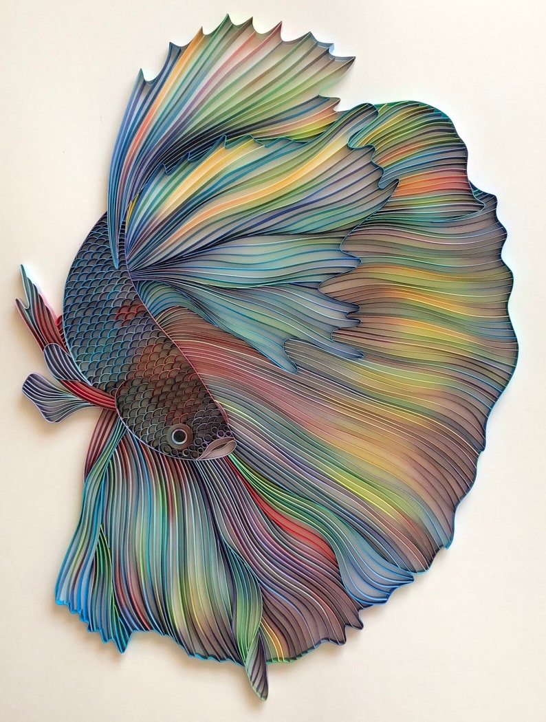 Quilled Fish Art Betta Fish 3D Framed Paper Art Covered Etsy