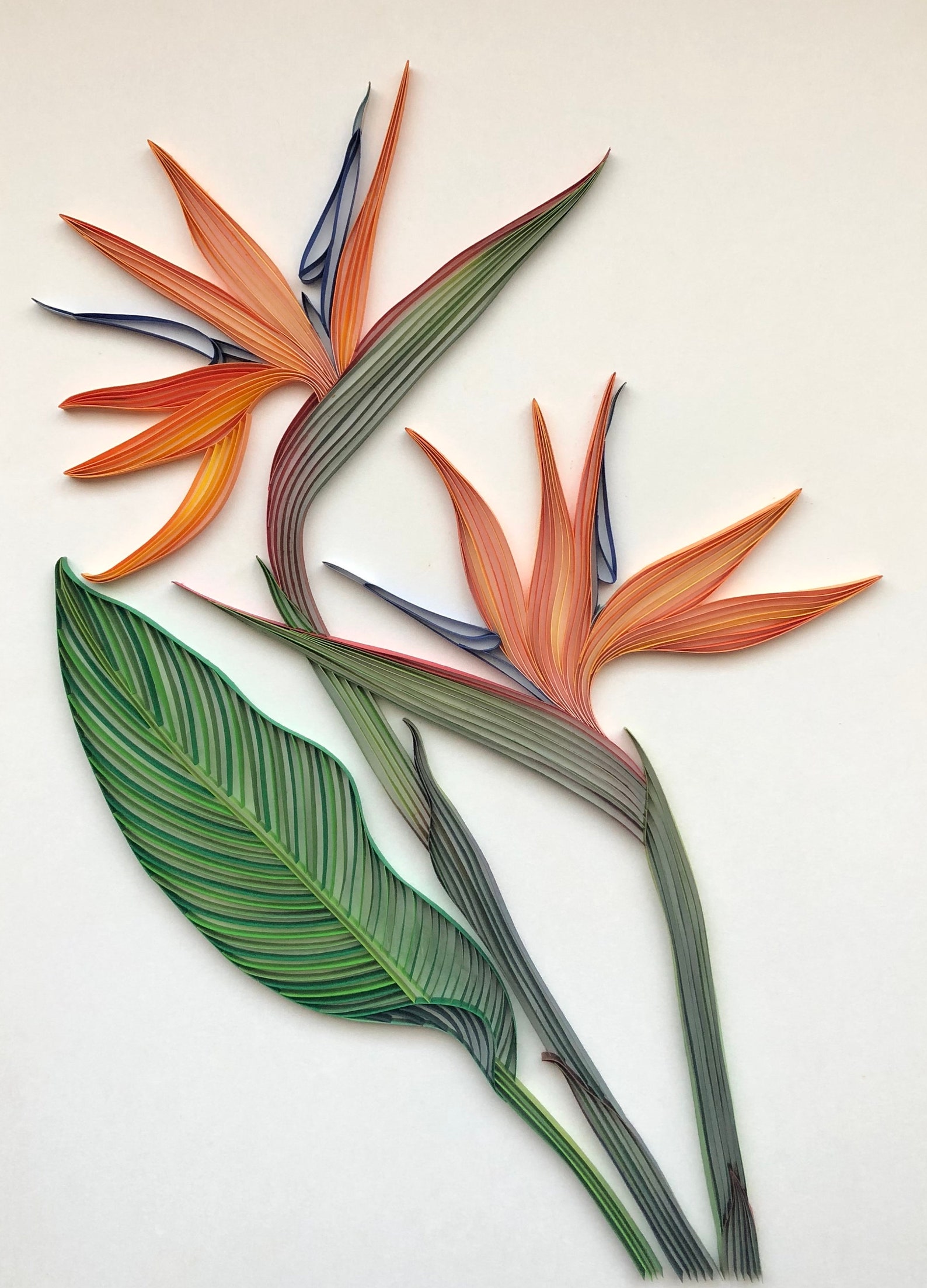 Quilled Flower Wall Art Bird of Paradise 3D Art Framed With Etsy
