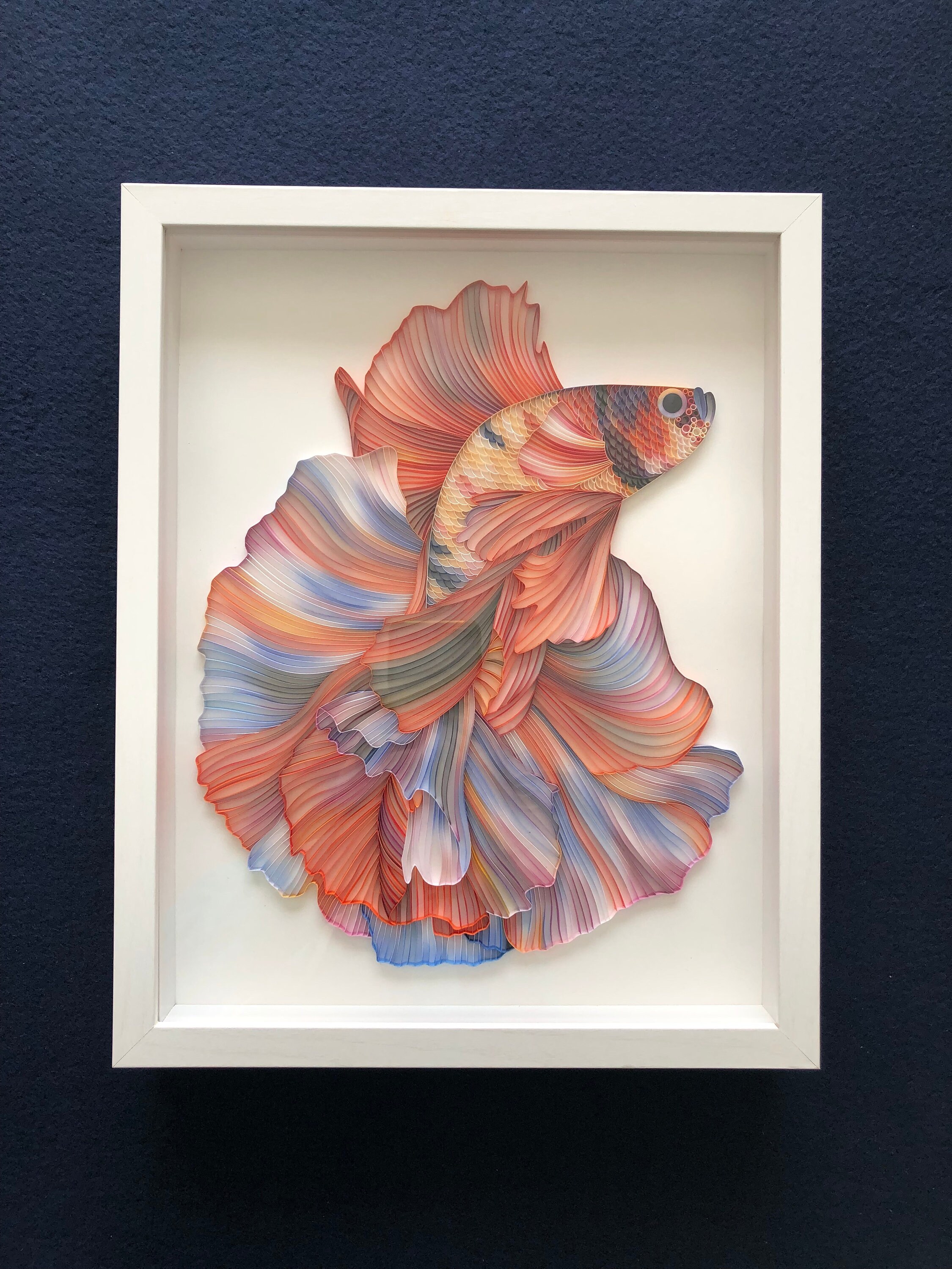 Quilled Fish Art Betta Fish 3D Framed Paper Art Covered Etsy Canada