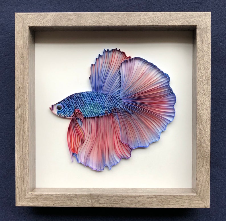 Quilled Fish Art Betta Fish 3D Framed Paper Art Covered Etsy