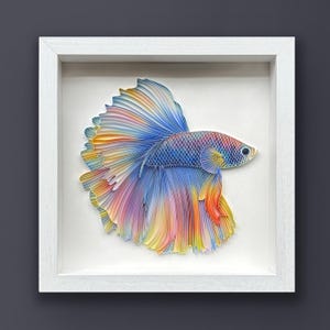 Quilled Fish Art, Betta Fish, 3D Framed Paper Painting, Covered with Glass, Unique Gift for Anniversary, Wedding, Birthday