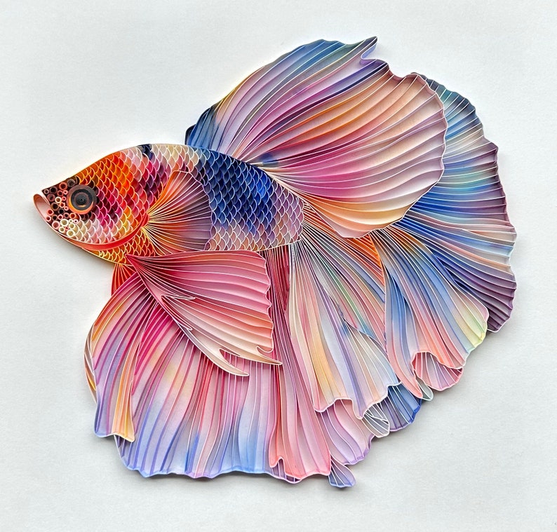 Quilled Fish Art Betta Fish 3D Framed Paper Painting Etsy