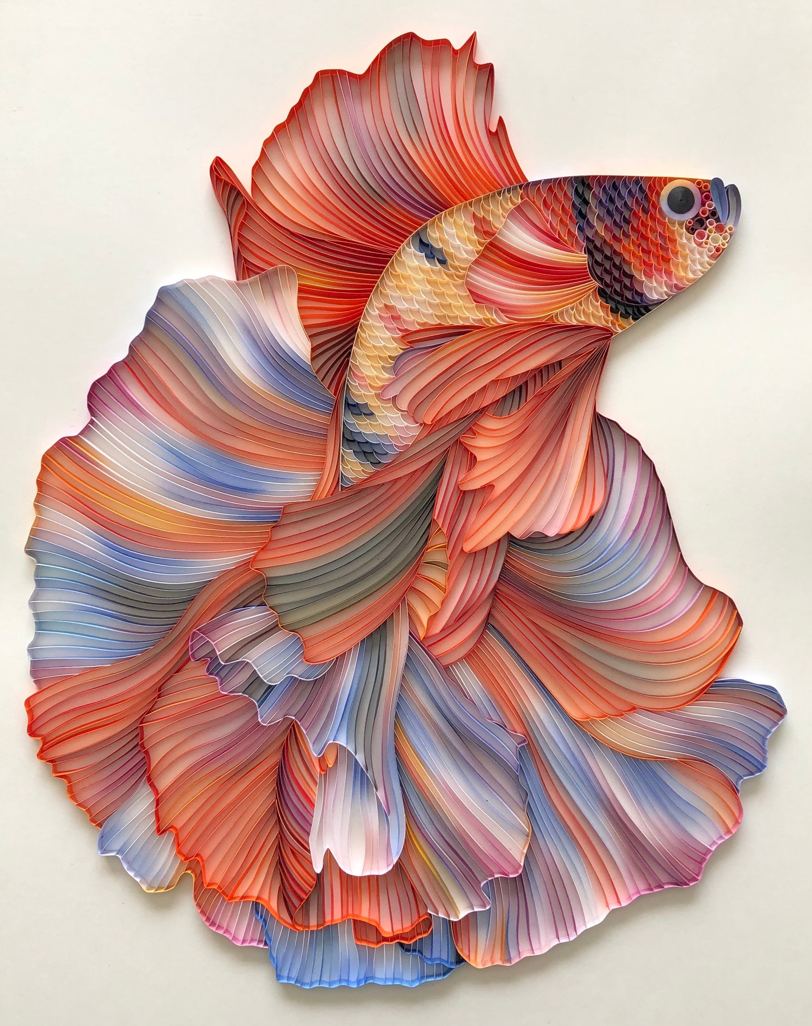 Quilled Fish Art Betta Fish 3D Framed Paper Art Covered Etsy Canada