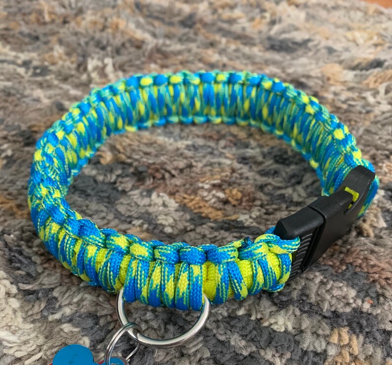 Blue and Yellow King Cobra collar