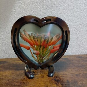 May include: A heart-shaped frame made from a horseshoe, holding a floral arrangement. The frame is brown with a glossy finish, and the flowers are orange and green. The frame is supported by two horseshoes.