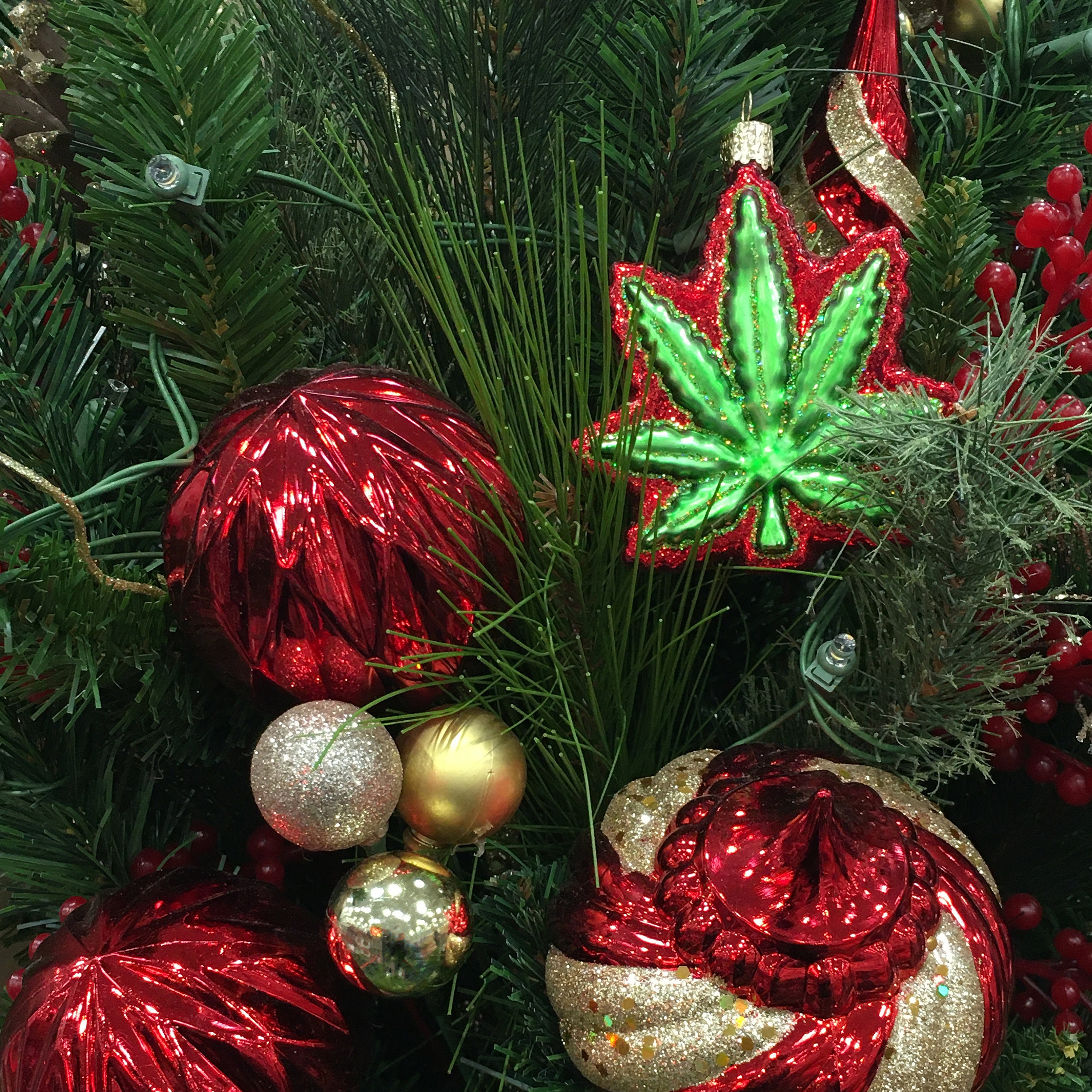 Cannabis Leaf Ornament 4 pack, includes Red, Blue, Green, and Gold