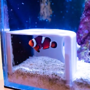 Cueva de acuario de esquina para peces imagen 3