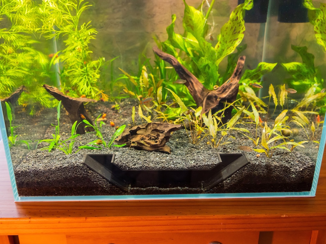 Underground Aquarium Tunnel Fish Hide For Shrimp And Fish Etsy Underground Aquarium Tunnel Fish Hide For Shrimp And Fish Etsy