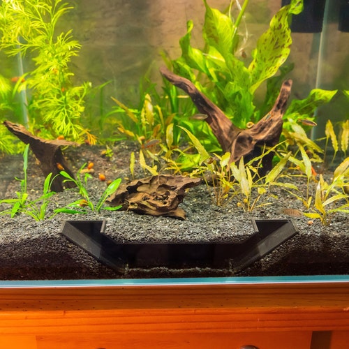 Underground Aquarium Tunnel