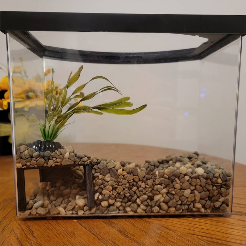 Puede incluir: Un peque&ntilde;o terrario de vidrio con marco negro, lleno de grava marr&oacute;n y una planta de pl&aacute;stico verde. El terrario tiene un peque&ntilde;o t&uacute;nel de pl&aacute;stico negro en la parte delantera.