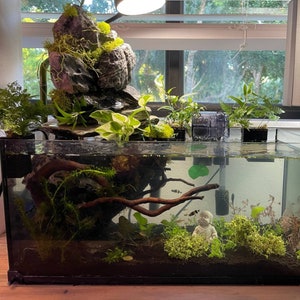 Op de afbeelding: Een zwart aquarium met een rotsformatie, planten en een klein beeldje van een persoon. Het aquarium is gevuld met water en heeft verschillende vissen die erin zwemmen.