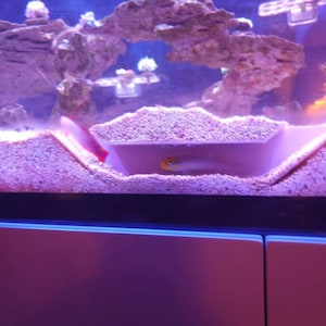 Ondergrondse aquariumtunnelvishuid voor garnalen en vis afbeelding 3