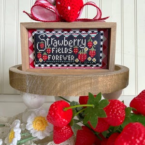 Puede incluir: Un diseño de punto de cruz enmarcado con fondo negro y fresas rojas y blancas. El texto dice "Strawberry Fields Forever". El marco está sentado en un soporte de madera de dos niveles con un lazo de cuadros rojos y blancos y una fresa de ganchillo en la parte superior.