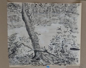 Woods by the pond in Middlebury Connecticut original drawing