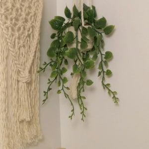1:6 scale  hanging pothos plant, macrame hanging plant, fashion doll plant, macrame plant hanger, doll house plant, doll plants