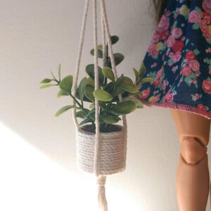 1:6 scale hanging plant, doll house plant, fashion doll plant, room box plants