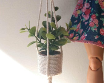 1:6 scale hanging plant, doll house plant, fashion doll plant, room box plants