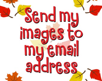 Digital File OR files sent to an email address Add On