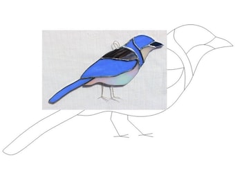 Pattern — stained glass Scrub Jay digital download, includes wire feet tutorial
