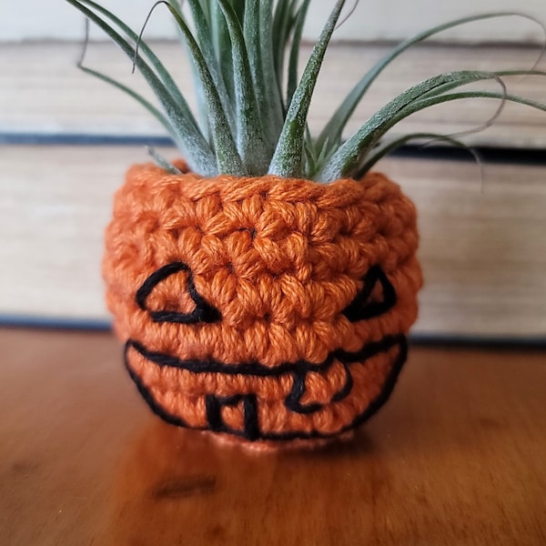 Small Planter, Air Plant Holder, Plant Hanger, Small Basket, Crochet, Ready to Ship, Air Plant Container, Plant Display, Halloween, Pumpkin