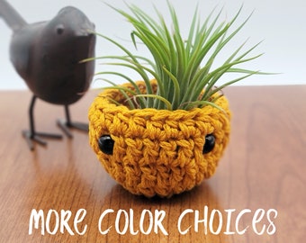 Unique Air Plant Holder, Pineapple, Small Planter, Ready to Ship, Small Basket, Crochet Plant Pot, Air Plant Container, Air Plant Display