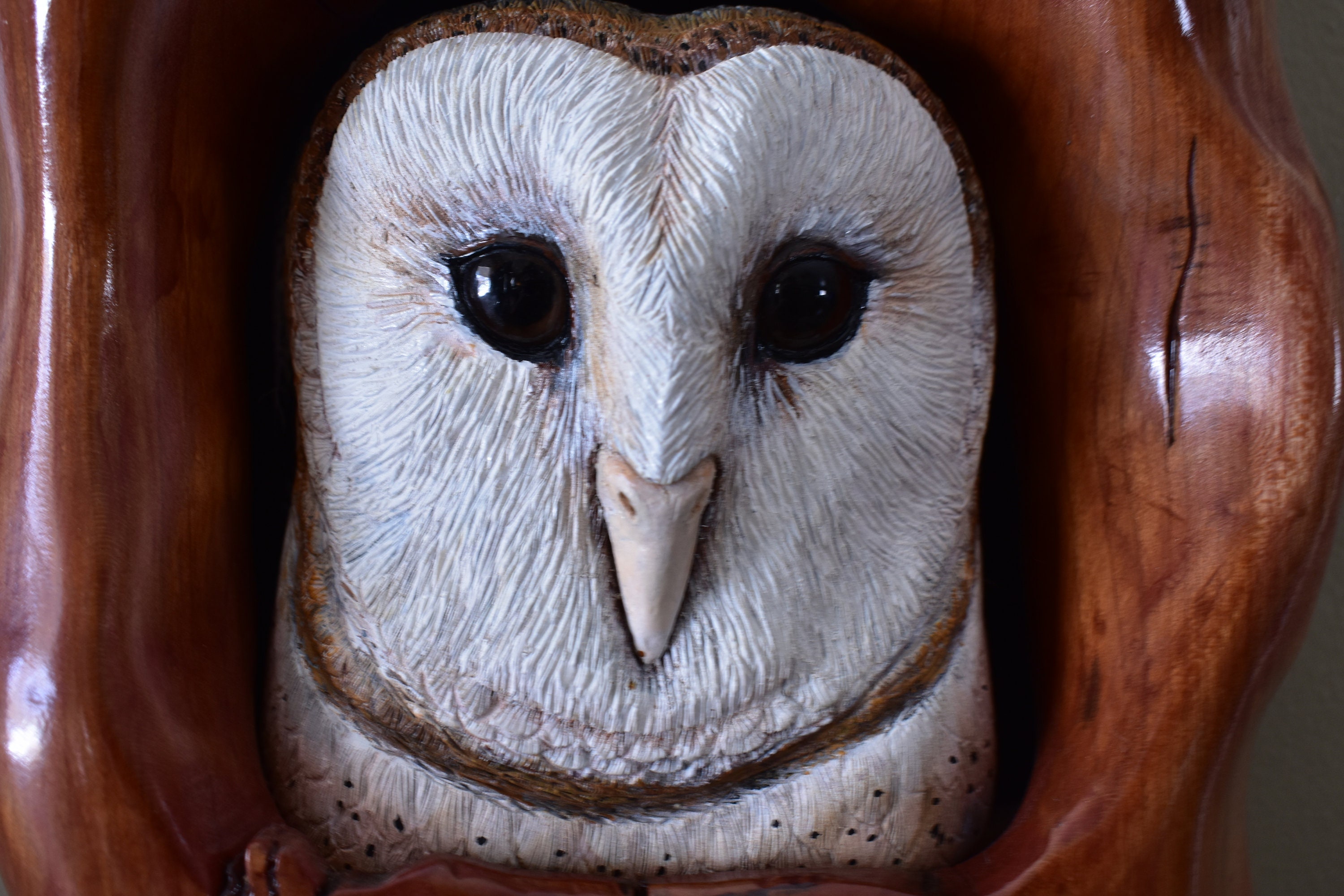 Hand Carved Hand Painted Barn Owl Wooden Sculpture in Carved Cherry
