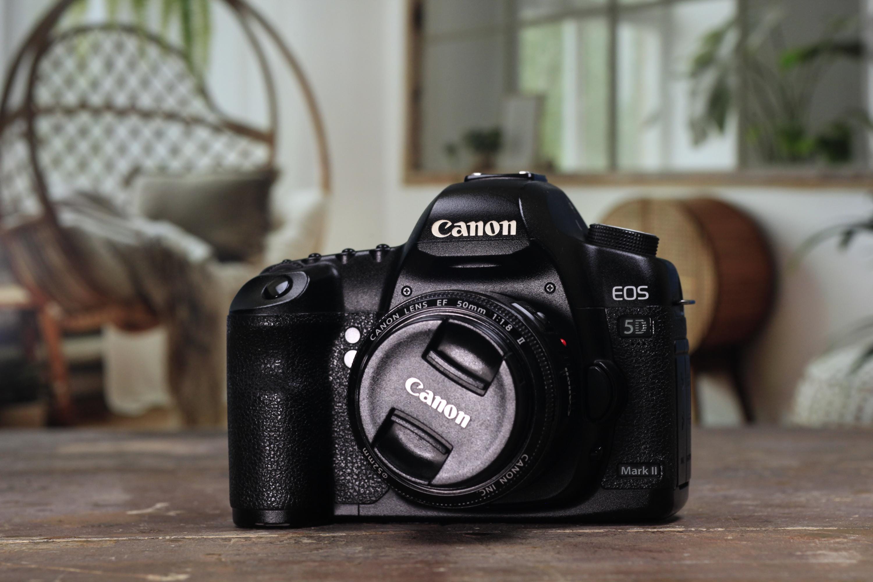 Canon EOS 5D Mark II＋EF50mm F1.8 STM il_fullxfull.7579395531_b88a.jpg