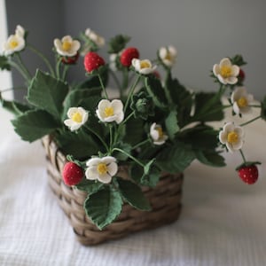 Puede incluir: Una cesta tejida rebosante de una planta de fresas artesanal. La planta presenta hojas verdes, delicadas flores blancas con centros amarillos y fresas rojas vibrantes. La cesta es de material tejido marr&oacute;n.