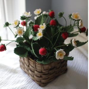 Puede incluir: Una cesta tejida llena de una planta de fresas. La planta presenta hojas verdes, flores blancas con centros amarillos y fresas rojas. La cesta es marr&oacute;n y cuadrada, sobre una superficie blanca.