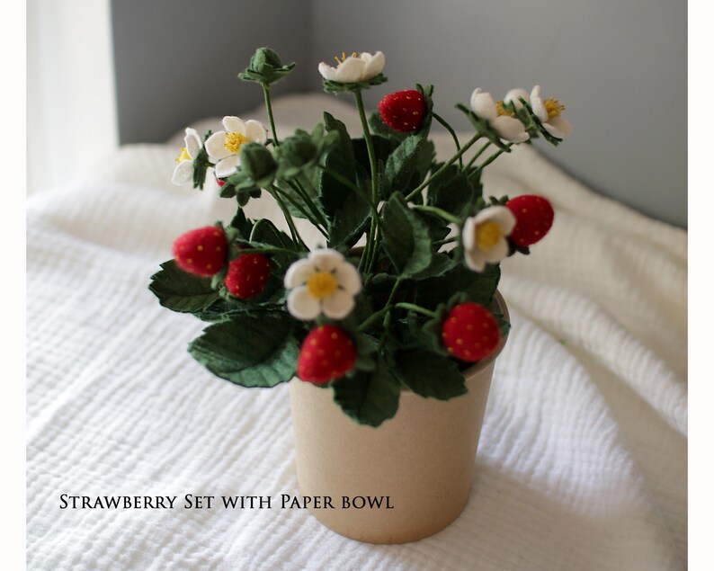 Puede incluir: Una planta de fresas hecha a mano en un cuenco de papel. La planta presenta fresas rojas, flores blancas con centros amarillos y hojas verdes. El texto "STRAWBERRY SET WITH PAPER BOWL" est&aacute; en la parte inferior de la imagen.