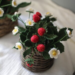 Puede incluir: Una planta de fresas en miniatura en una cesta tejida. La planta presenta fresas rojas brillantes, flores blancas con centros amarillos y hojas verdes. La cesta est&aacute; hecha de material tejido marr&oacute;n.